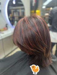 -奈川烫染Salon