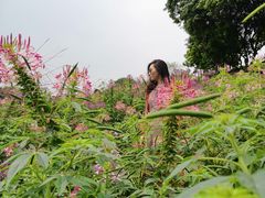 -松山湖梦幻百花洲