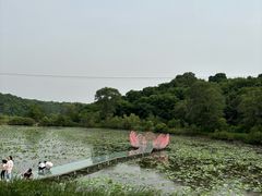 -大青沟风景区