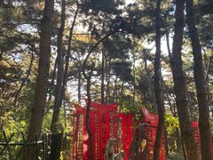 -红螺寺