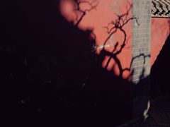 -泰山风景名胜区-普照寺