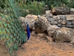 -丽泽山庄·生态怀柔菜·虹鳟鱼(红螺寺店)