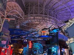 -烟台海昌鲸鲨海洋公园