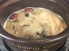 箘菇鍋底-彩云南七彩一锅