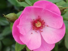 -杭州城北体育公园