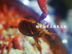 -吉友粥底火锅(方斜路店)