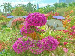 -莲花山公园