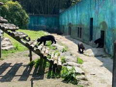 -宁波野生动物园