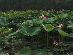 -南戴河国际娱乐中心