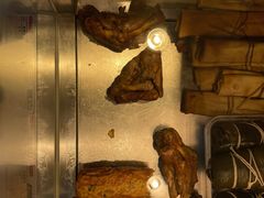 -一手店(枣园店)