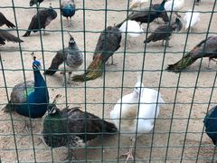 -韶关经律论国际酒店温泉