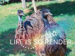 -石家庄市动物园