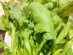 -佬土鹅肠火锅(解放路店)
