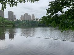 -重庆彩云湖湿地公园