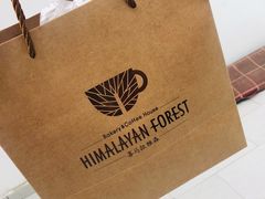 -喜马拉雅森HIMALAYAN FOREST