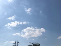 -天府国麻辣香锅(李沧万达店)