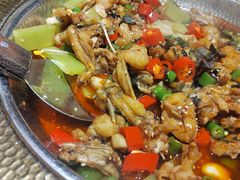 -肥家大排档(天河体育西店)