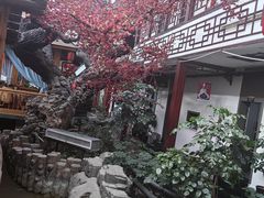 -老山东·山东菜(鲁菜名店)