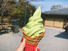 -豆政(金閣寺境内売店)