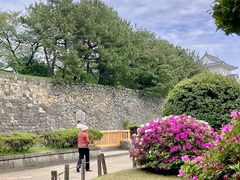 -名古屋城
