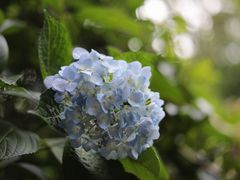 -黔灵山公园