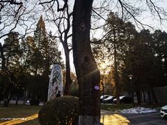 -清华大学-甲所餐厅