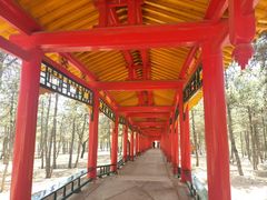 -乌素图国家森林公园