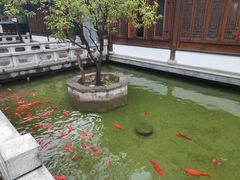 -麒麟小院·老九江菜(安平路店)