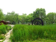-森林公园(尖草坪区)