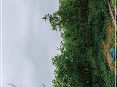 -天适樱花悠乐园