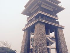 -大湾区中央湿地公园