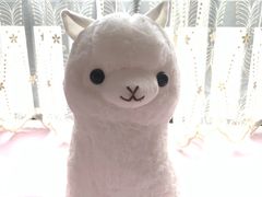 -LLJ夹机占(正佳广场店)