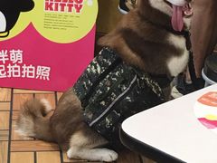 -麦当劳(无锡永乐店)