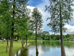 -松山湖风景区松湖烟雨
