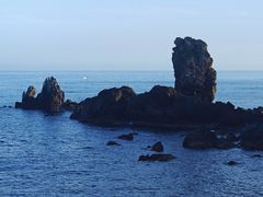 -涉地可支
