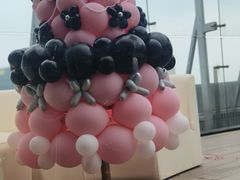 -Hi City·城市之巅