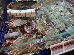 -高佳庄·舟山海鲜(海景旗舰店)