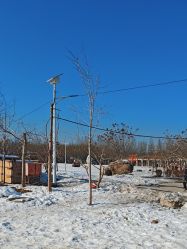 -优沃得自然教育农场·冰雪乐园·生日会·研学