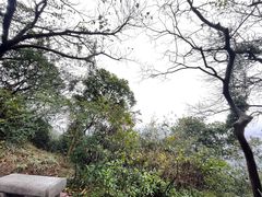 -广州市白云山风景名胜区