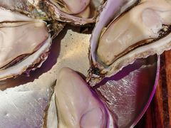 -蚝堡海鲜·威海菜·海肠捞饭·烧烤·亚洲吃蚝公司(幸福门店)