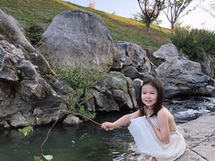 -羊山湖公园