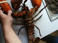 -毕家疃综合市场