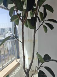 -HEYAN荷妍专业脱毛连锁机构