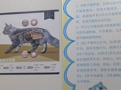 -艾贝尔宠物医院·全科(黄山路店)