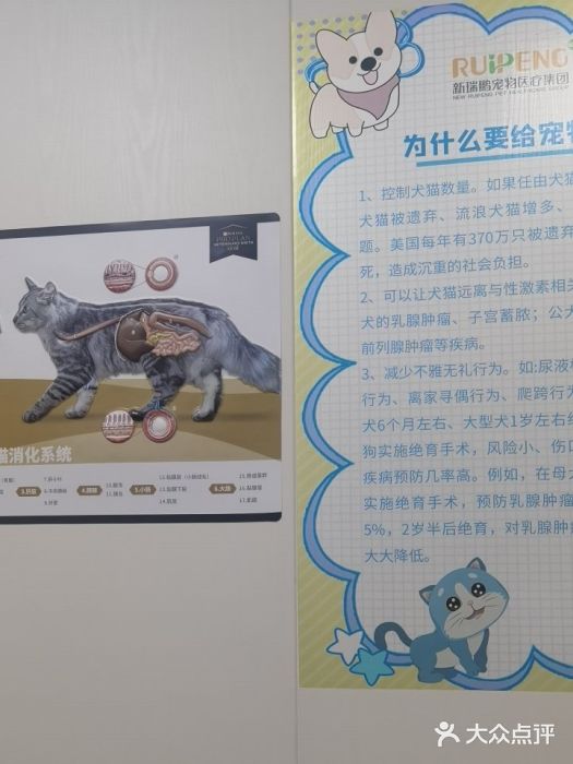 艾贝尔宠物医院·全科(黄山路店)图片
