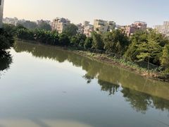 -小洲村