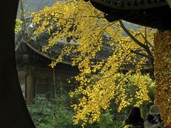 -无锡惠山寺
