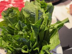 -额尔敦传统涮(公园西路店)