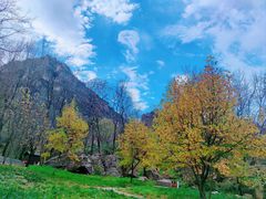 -秦岭终南山世界地质公园翠华山景区