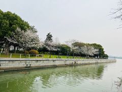 -蠡湖大桥公园